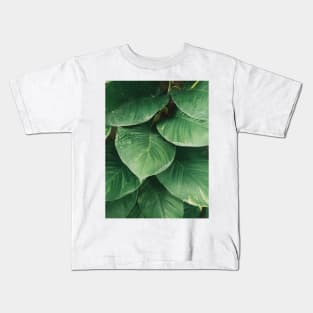 Aesthetic leaves, minimalist green leaf, modern art Kids T-Shirt
